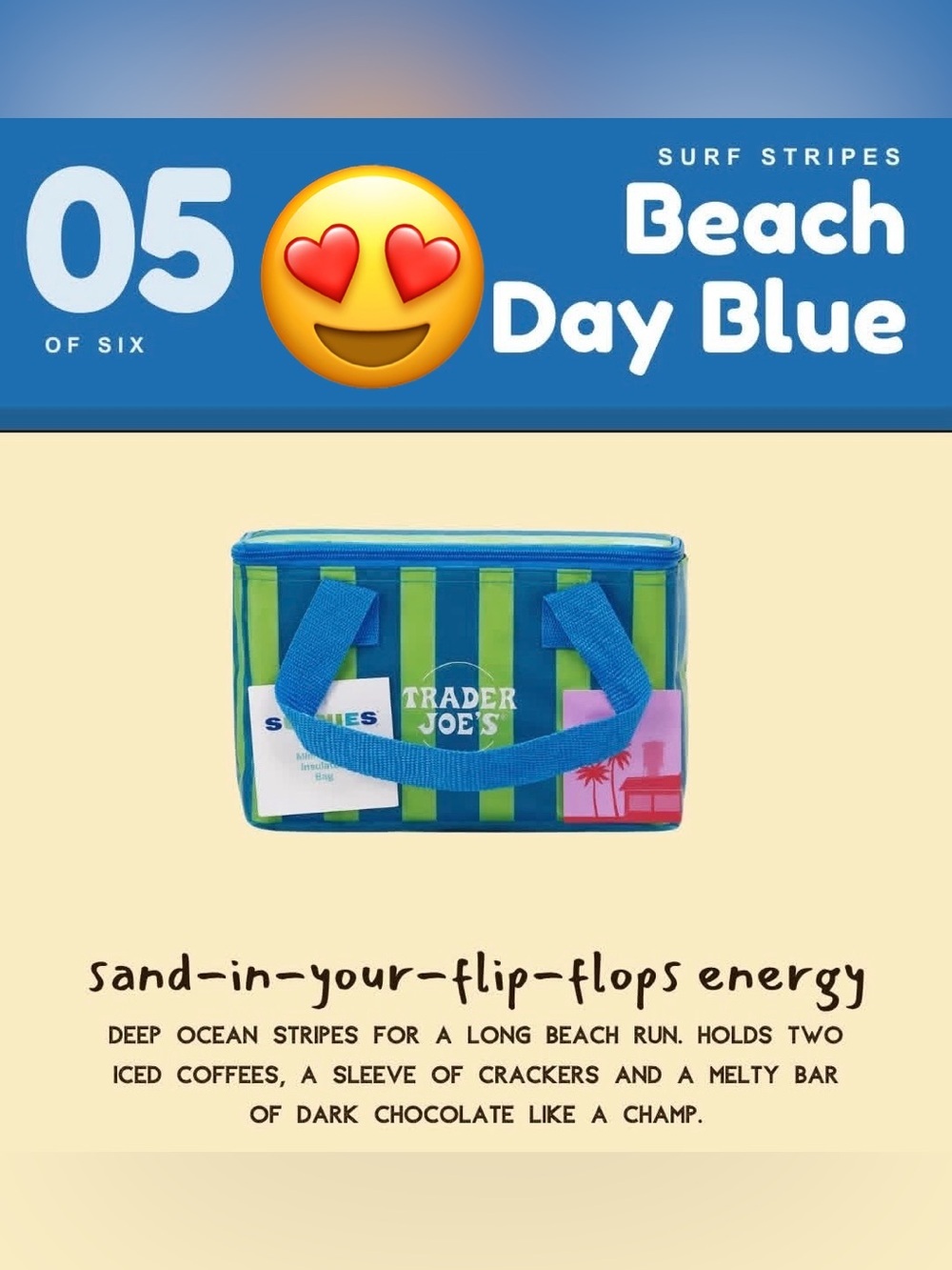 Trader Joe's Blue & Green Striped Mini Insulated Tote